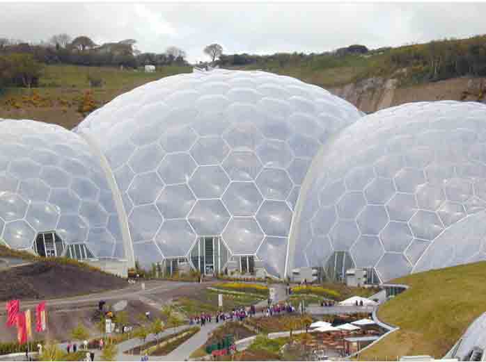 1626939583986875.jpg 2.jpg